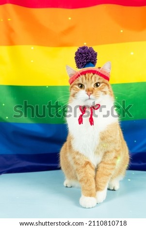 Ginger tabby cat wearing a rainbow hat sitting on edge of a Gay Pride flag with flag extending into the background. Vertical orientation