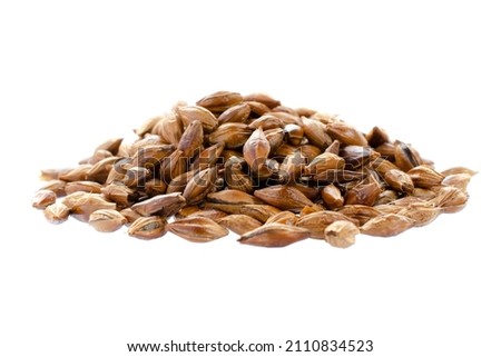 Pile of barley tea isolated on white background, top view. Malted and roasted barley isolated on white background. Roasted barley tea isolated on white, top view. Dark grains of barley. Royalty-Free Stock Photo #2110834523
