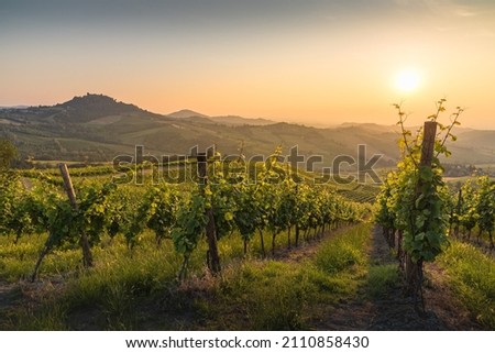 Hills in Oltrepo' Pavese covered in vineyards and fields at sunset, Lombardy, Italy Royalty-Free Stock Photo #2110858430