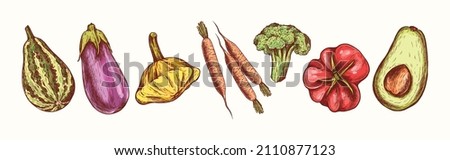 Vegetables collection in engraving style. Vector Hand Drawn. Sketch Botanical Illustration. Eco healthy food. Superfood. Line art zucchini, eggplant, patisson, carrot, broccoli, tomato, avocado Royalty-Free Stock Photo #2110877123
