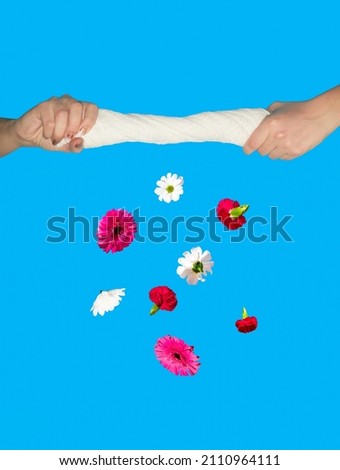 Colorful daisy flowers on blue background falling out from a white towel which squeeze beautiful young woman's hands. Minimal optimistic, spring, blooming arrangement.