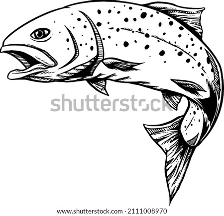 black and white trout fish