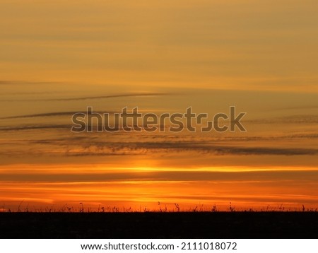 spectacular sunset over the field in light cloudiness, sunset in Ukraine over the harvested field