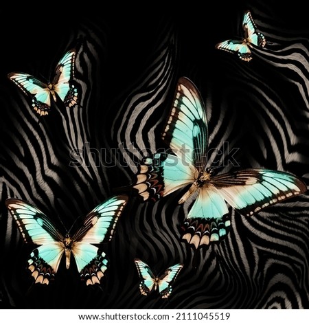 Butterfly on zebra skin background for print