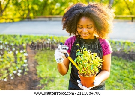 hispanic woman in black apron and gloves iwith small tree in pot n the garden outdoors at sunset Royalty-Free Stock Photo #2111084900