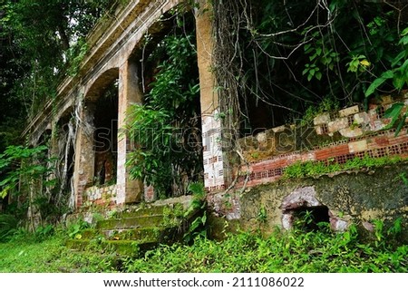 Lost places. Giant trees in ruins of an abandoned house from the 18th century. Nature has reclaimed the house with trees, roots and lianas in the Amazon rainforest. Paricatuba, Amazon state, Brasil.