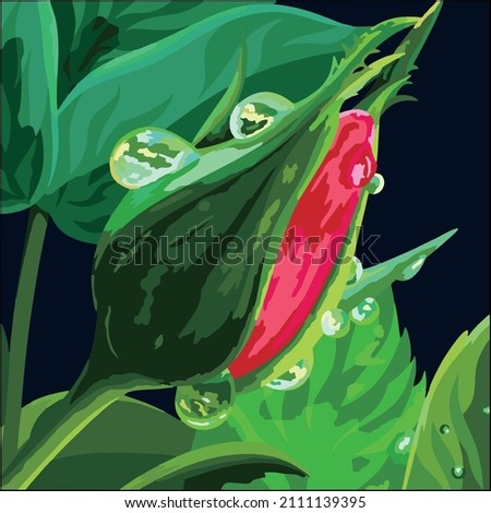 Vector art illustration of plants eating insects