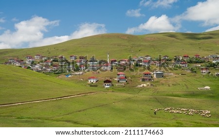 Persembe Plateau in the summer season. Highland houses and sheep grazing in the meadows. The most important Black Sea region travel destinations. Aybasti district, Ordu city, Turkey