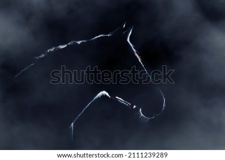 Silhouette of the head of a horse in a foggy night with black background
