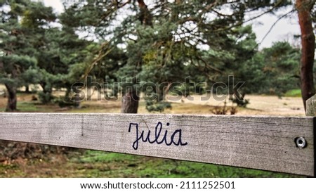 On the railing of a wooden walkway through a park is the name "Julia" as a symbol of love or a search for a girl