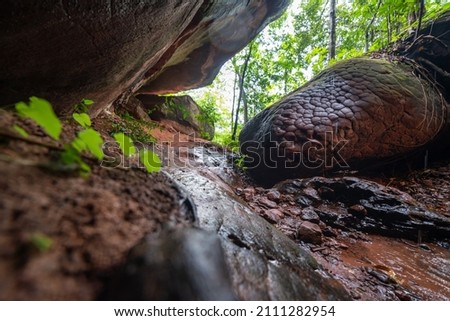 Naka cave in the Phu Langka national park, Buangkan Thailand. Royalty-Free Stock Photo #2111282954