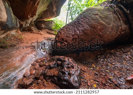 Naka cave in the Phu Langka national park, Buangkan Thailand. Royalty-Free Stock Photo #2111282957