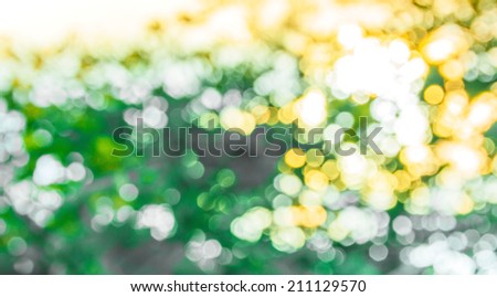 abstract trees nature background 