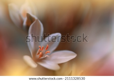 Beautiful Macro Photo.Magic Flowers.Art Design.Extreme Close up Photography.Conceptual Abstract Image.Golden Background.Fantasy Art.Creative Wallpaper.Beautiful Nature Background.Amazing Spring Flower