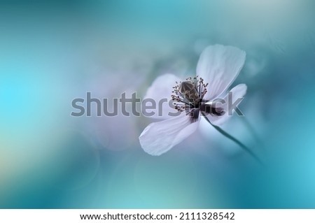 Beautiful Macro Photo.Magic Poppy Flower.Floral Art Design.Close up Photography.Conceptual Abstract Image.Green Background.Fantasy Art.Creative Wallpaper.Beautiful Nature Background.Amazing Spring.