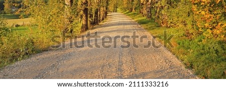 An empty rural road (alley) through the colorful deciduous trees with green, golden, orange, red and yellow leaves. A view from the car. Eco tourism, cycling, vacations, recreation, walking