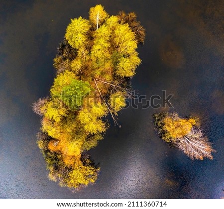 Bird's eye view of a pond, lake and a small island with green trees. Aerial, drone nature photography taken from above.