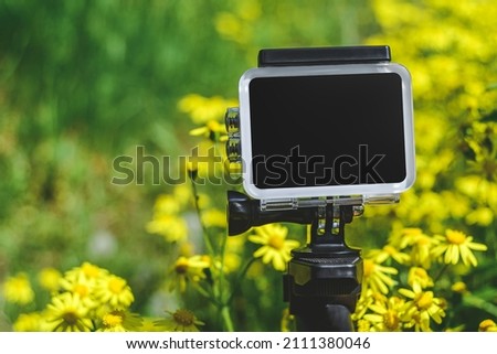 Close up, action camera. Against the background of a yellow chamomile in the garden