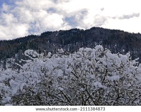 scenic Dolomite panorama immersed in the snow