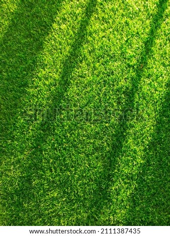Green artificial grass with sunlight shining on the grass  until a diagonal light line is formed