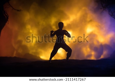 Karate athletes night fighting scene at burning forest. Character karate. Posing figure artwork decoration. Sport concept. Decorated foggy background with light. Selective focus Royalty-Free Stock Photo #2111417267