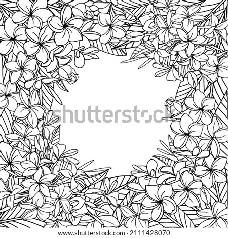 Frame of plumeria flowers and leaves. Vector graphics.