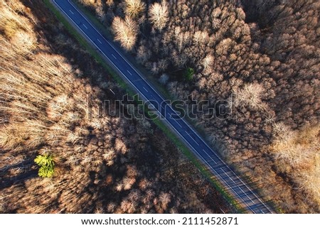 Highway in the forest with trees in the autumn season, top view. Aerial view of the road in spring. Drive by car on asphalt road in weekend. Forest road in autumn. Aerial top empty way in environment.