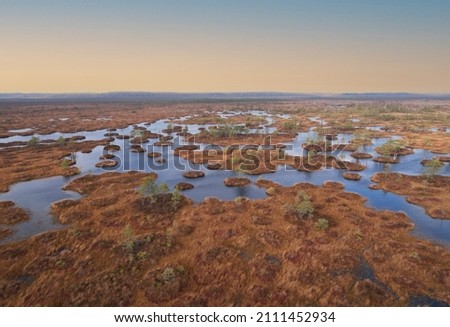 Swamp Yelnya in autumn landscape. Wild mire of Belarus. East European swamps and Peat Bogs. Ecological reserve in wildlife. Marshland at wild nature. Swampy land and wetland, marsh, bog. Royalty-Free Stock Photo #2111452934