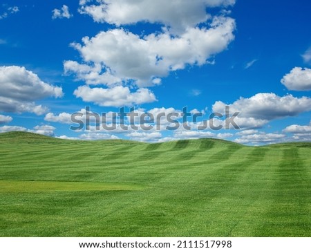A field with green juicy trimmed grass and a blue sky with clouds. Space for text.