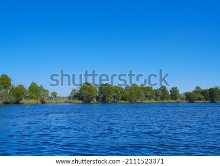 beautiful tree, clear water, and house along homossasa river in winter. 