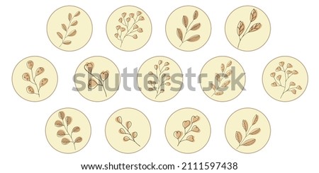 Vector set of icons and emblems for social media story highlight covers. Design templates for bloggers, photographers and designers. Abstract minimal circle backgrounds with nature leaves.