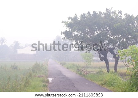 A foggy landscape of nature dan kabut di pagi hari