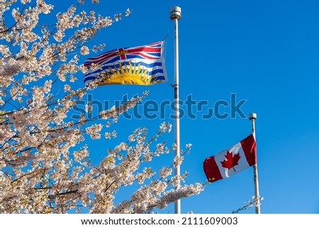 National Flag of Canada and British Columbia flagpole with cherry blossoms in full bloom. Concept of canadian urban city life in spring time.