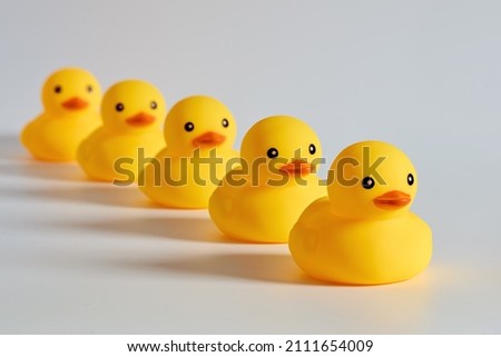 Concept of leadership, compliance or obedience. Rubber ducks or ducklings in a row.