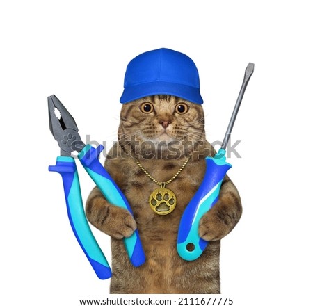 A beige cat in a blue cap holds a plier and a screwdriver. White background. Isolated.