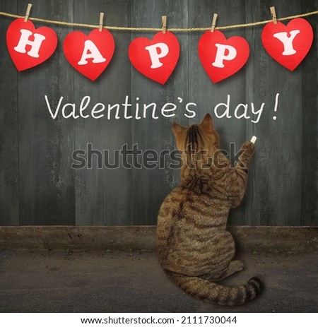 A beige cat writes Happy Valentine's day on a wooden fence.