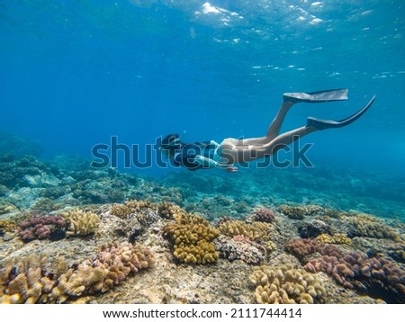 Underwater photography of a woman snorkeling above a coral reef, Reunion Island, Indian ocean, France. Royalty-Free Stock Photo #2111744414