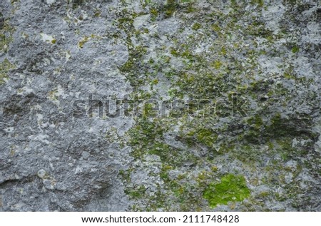 Moss on the rocks. Nature background. Green moss color texture. Rock wall texture Royalty-Free Stock Photo #2111748428