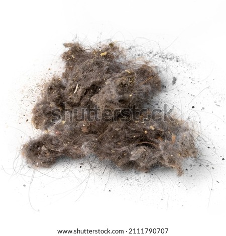 Pile of garbage and dust removed from a vacuum cleaner isolated on a white background Royalty-Free Stock Photo #2111790707