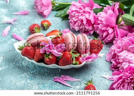 Pink peony rose flower and macaroni cookies and sweet strawberry on blue background. Small French cakes Macarons with fruit. top view.