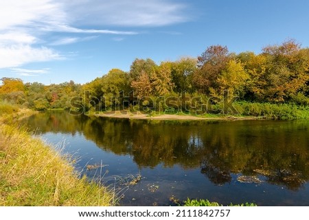 The river is current in the autumn forest. Beauty of autumn nature