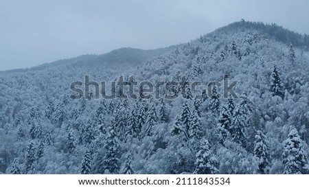 Amazing aerial drone shot: beautiful winter spruce and pine forest in mountains completely covered by white snow. Cloudy winter daytime.