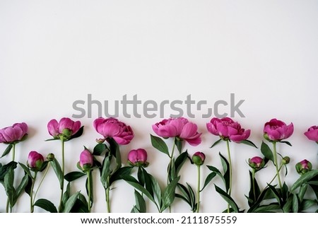 Elegant pink peony flowers pattern on white background with copy space. Minimalist flat lay, top view aesthetic floral composition