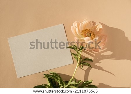 Blank paper card with copy space, peony flower with sunlight shadows on peach background. Top view, flat lay minimalist aesthetic luxury bohemian business branding concept