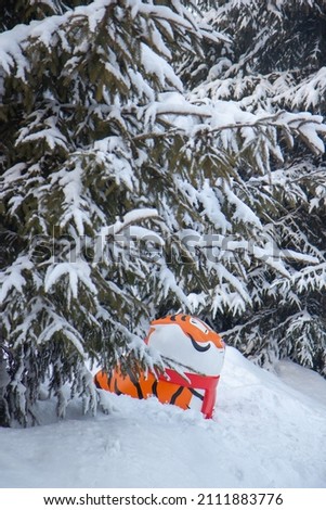 An orange tiger sits in a snowdrift in the forest among the fir trees