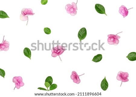 Minimal floral pattern with natural fresh Hydrangea flower, purple color close up blossoming flowers on white. Holiday flat lay for Mothers day, 8 March, Womens day.  Spring or summer blooming season