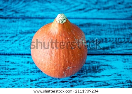 Pumpkin, fall-themed visual. close up. 