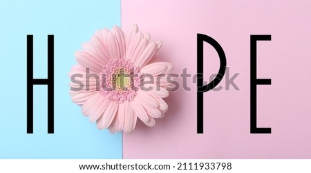 Word HOPE made with letters and beautiful gerbera on color background, top view. Banner design Royalty-Free Stock Photo #2111933798