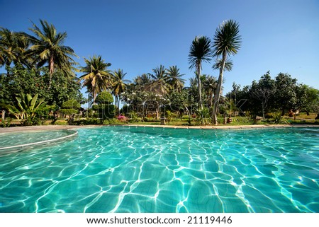 Clear blue water in large swimming pool with palms