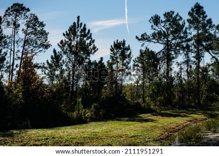 Beautiful picture of blue sky day with a rocket or airplane smoke trail, Orlando, Florida, taken in December 2018